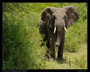 Tanzania 2013